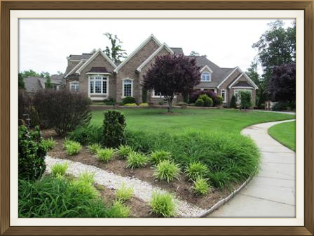 residential landscaped home